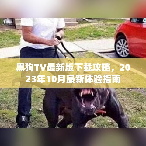 黑狗TV最新版下载攻略，2023年10月最新体验指南