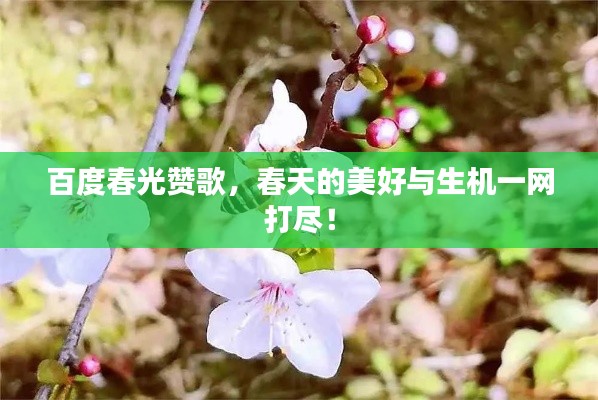 百度春光赞歌，春天的美好与生机一网打尽！