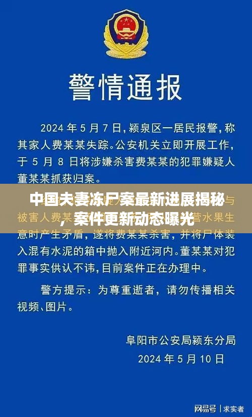 中国夫妻冻尸案最新进展揭秘，案件更新动态曝光