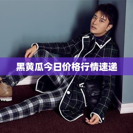 黑黄瓜今日价格行情速递