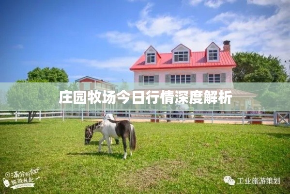 庄园牧场今日行情深度解析