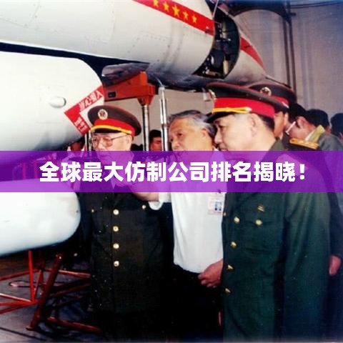 全球最大仿制公司排名揭晓！