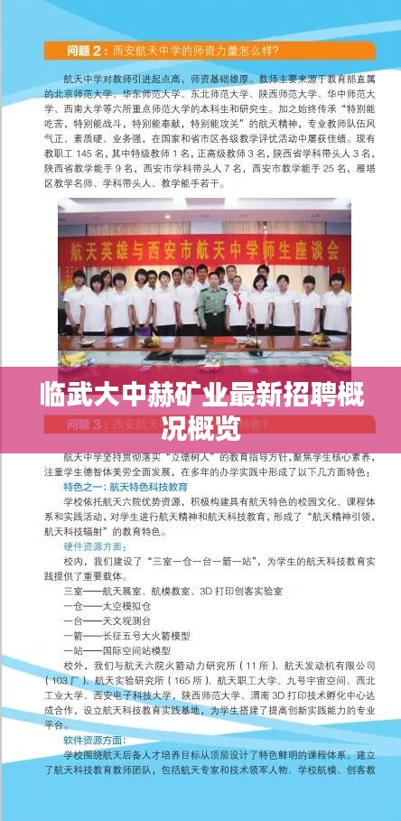 临武大中赫矿业最新招聘概况概览