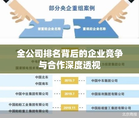 全公司排名背后的企业竞争与合作深度透视