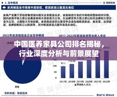 中国医养家具公司排名揭秘，行业深度分析与前景展望