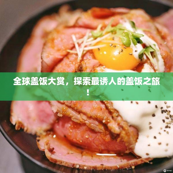 全球盖饭大赏，探索最诱人的盖饭之旅！