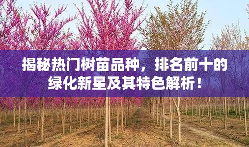揭秘热门树苗品种，排名前十的绿化新星及其特色解析！