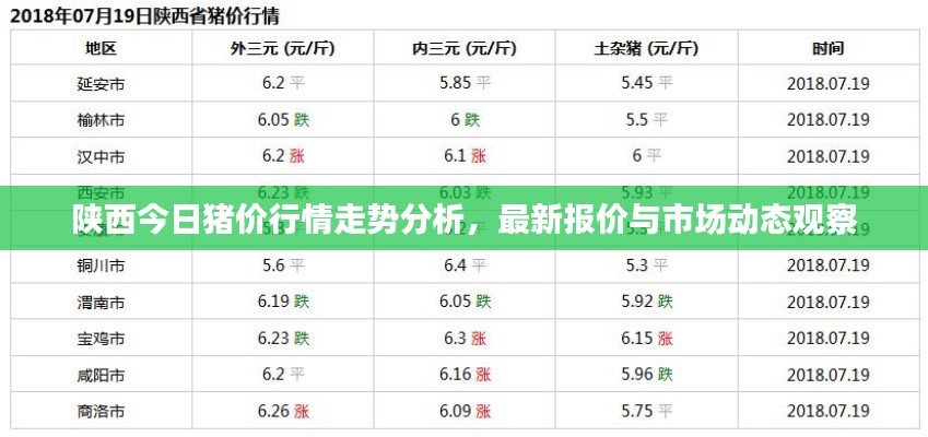 陕西今日猪价行情走势分析，最新报价与市场动态观察