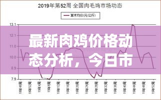 最新肉鸡价格动态分析，今日市场行情一览