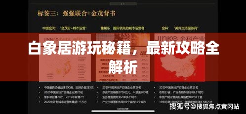 白象居游玩秘籍，最新攻略全解析