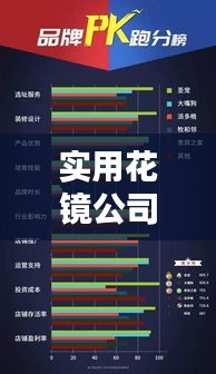 实用花镜公司排行榜及行业影响力分析