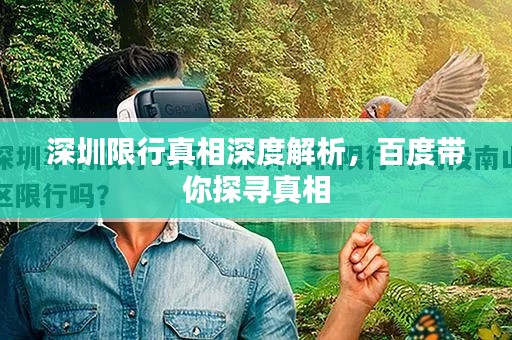 深圳限行真相深度解析，百度带你探寻真相