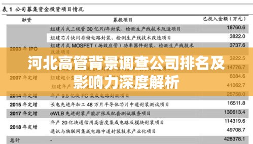 河北高管背景调查公司排名及影响力深度解析