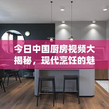 今日中国厨房视频大揭秘，现代烹饪的魅力与潮流趋势探索