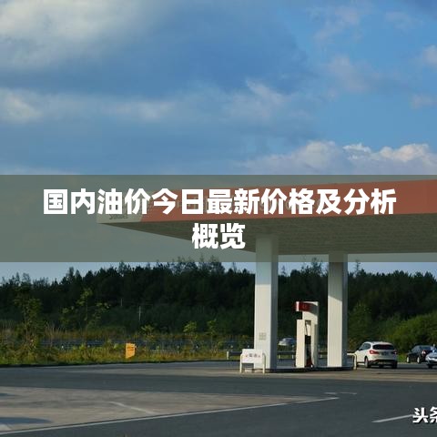 国内油价今日最新价格及分析概览