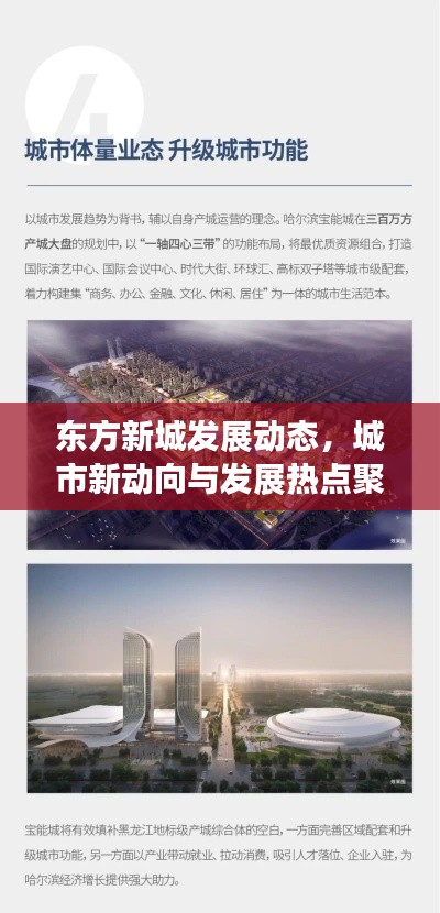 东方新城发展动态，城市新动向与发展热点聚焦