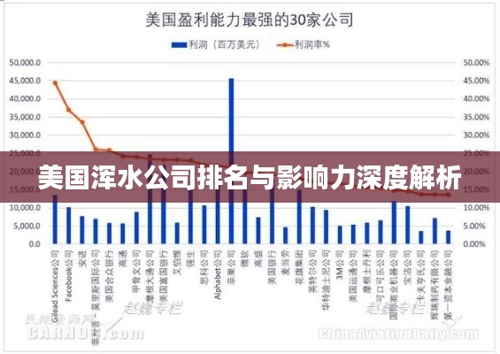 美国浑水公司排名与影响力深度解析