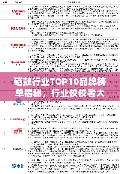 硒鼓行业TOP10品牌榜单揭秘，行业佼佼者大揭秘！