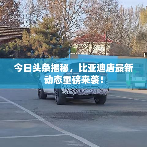 今日头条揭秘，比亚迪唐最新动态重磅来袭！