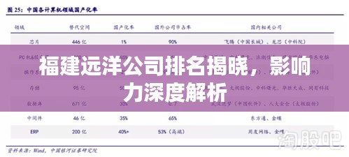 福建远洋公司排名揭晓，影响力深度解析