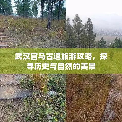 武汉官马古道旅游攻略，探寻历史与自然的美景