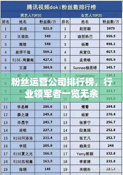 粉丝运营公司排行榜，行业领军者一览无余