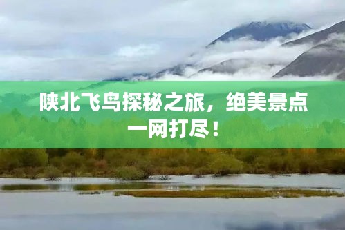 腾龙换鸟