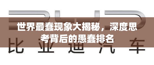 正襟危坐