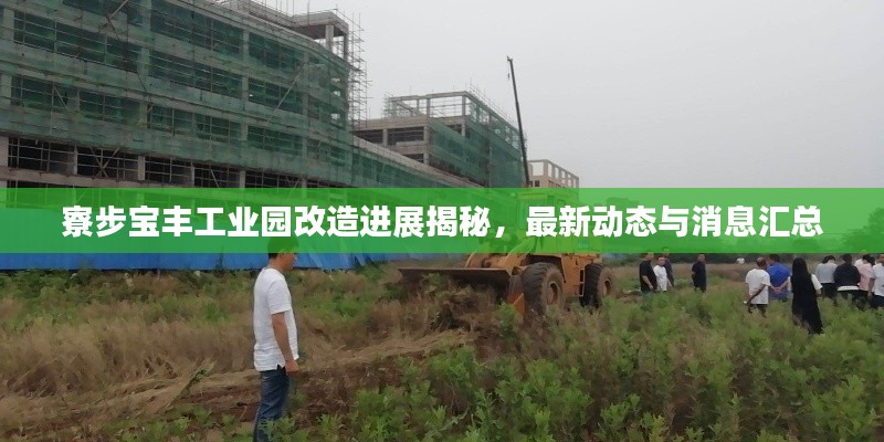 寮步宝丰工业园改造进展揭秘，最新动态与消息汇总