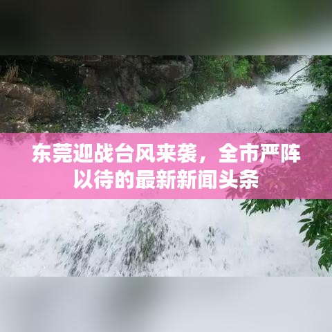 东莞迎战台风来袭，全市严阵以待的最新新闻头条