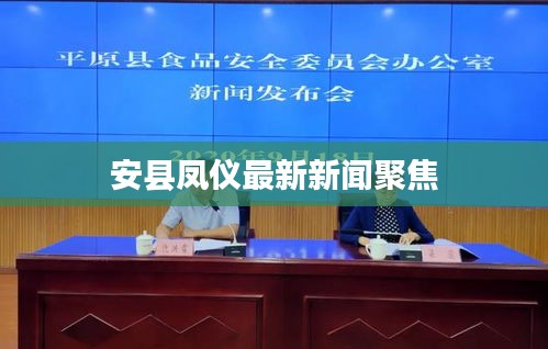 安县凤仪最新新闻聚焦