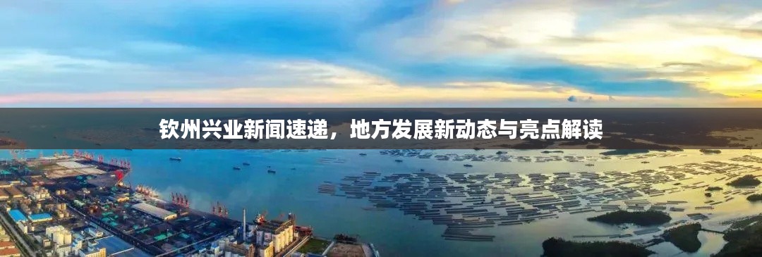 钦州兴业新闻速递，地方发展新动态与亮点解读