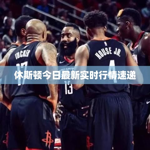 小鸟伊人