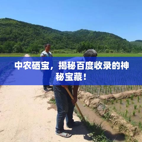 2025年6月3日 第2页