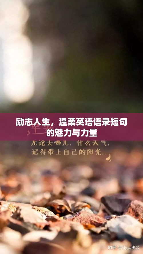 励志人生，温柔英语语录短句的魅力与力量