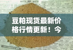 豆粕现货最新价格行情更新！今日价格走势一网打尽