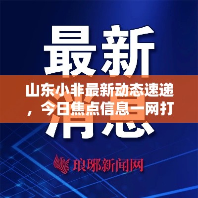 山东小非最新动态速递，今日焦点信息一网打尽！