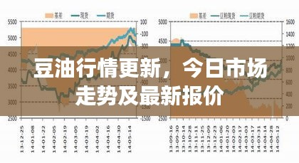 豆油行情更新，今日市场走势及最新报价