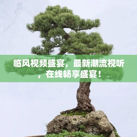 临风视频盛宴，最新潮流视听，在线畅享盛宴！