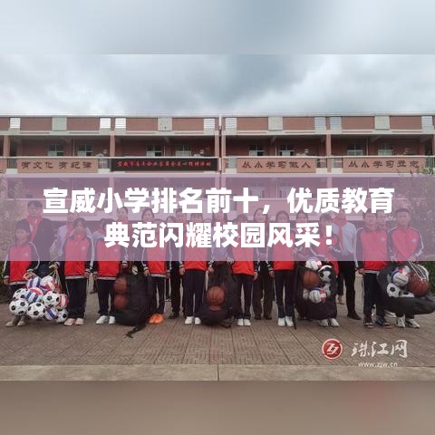 宣威小学排名前十，优质教育典范闪耀校园风采！