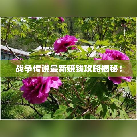 战争传说最新赚钱攻略揭秘！
