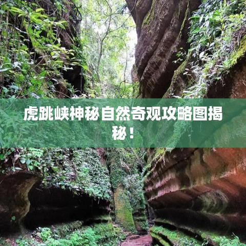 生离死别