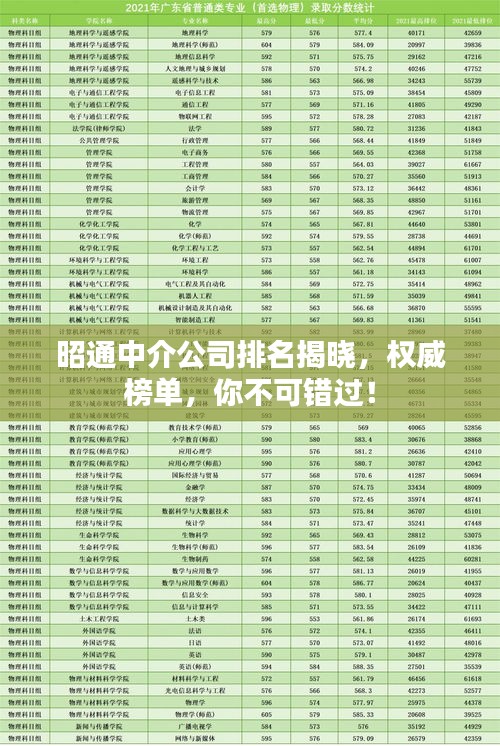 昭通中介公司排名揭晓，权威榜单，你不可错过！
