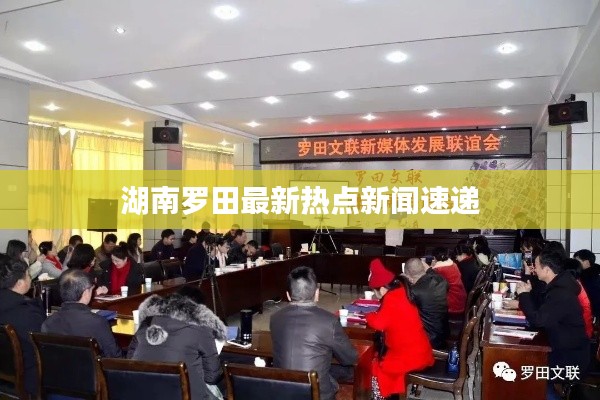 湖南罗田最新热点新闻速递