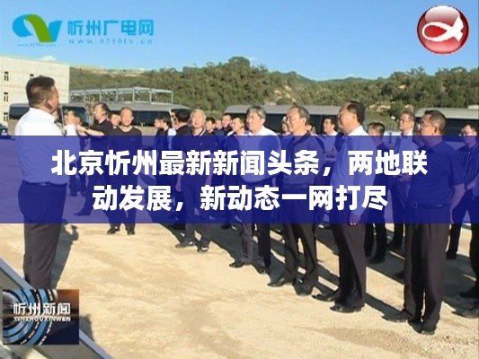 北京忻州最新新闻头条，两地联动发展，新动态一网打尽