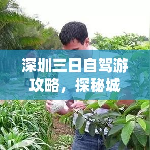 深圳三日自驾游攻略，探秘城市美景，畅游深圳必游之地！