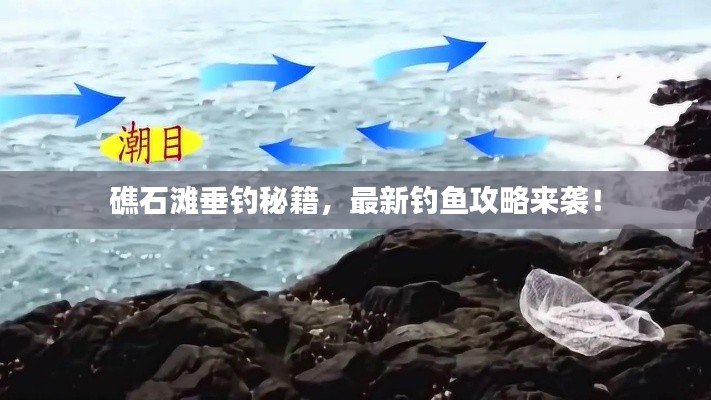 礁石滩垂钓秘籍，最新钓鱼攻略来袭！
