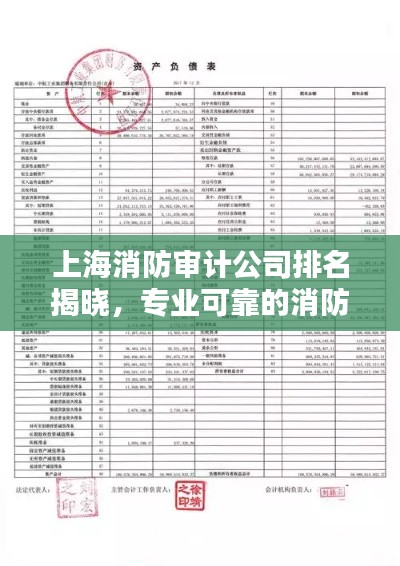上海消防审计公司排名揭晓，专业可靠的消防审计机构榜单