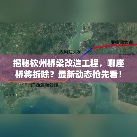 风华绝代