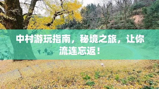 中村游玩指南，秘境之旅，让你流连忘返！